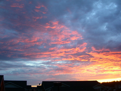 [The image is nearly all sky with just a sliver of the tops of the buildings at the bottom. There is cloud cover over nearly all the sky except for a small patch on the lower right corner. The sun coming through the opening has produced yellow and orange on the clouds closest to it and pink-orange on parts of the bottom of many segments in the sky. The rest of the clouds are dark blue.]